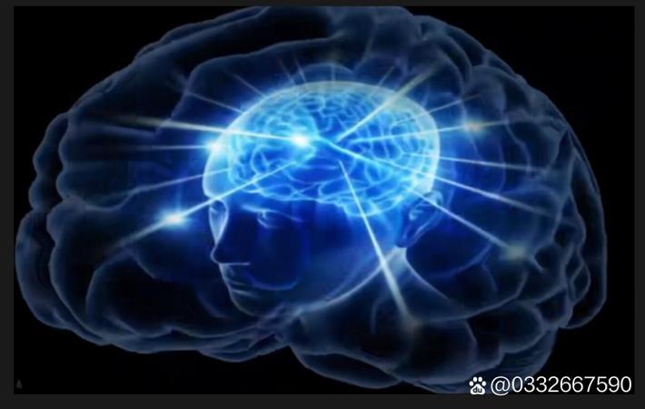 911吃瓜 - 某知名导演新片选角内幕：三位当红小生争夺男一号
